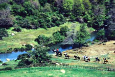 Italy-Lazio-Anguillara Equestrian Country Estate